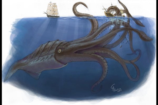 Kraken 18at