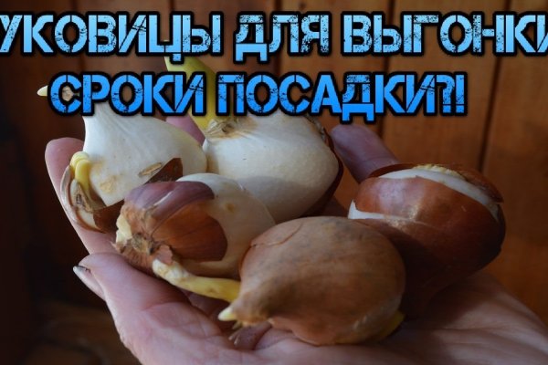 Ссылка на кракен реальная