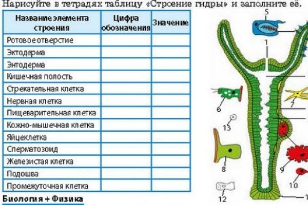 Что такое кракен в даркнете