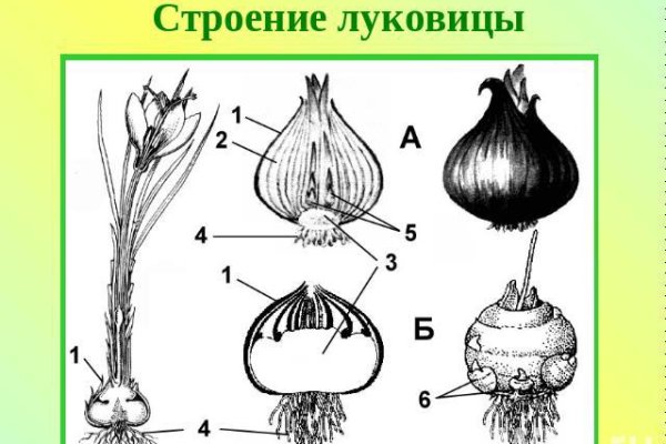 Ссылки на кракен com