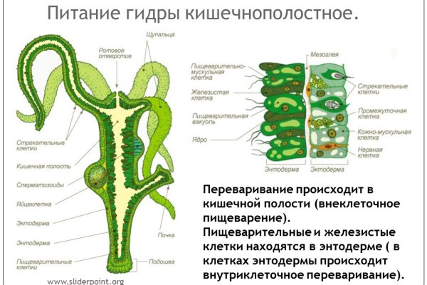 Кракен наркокортель