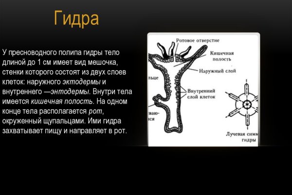 Найдется все кракен